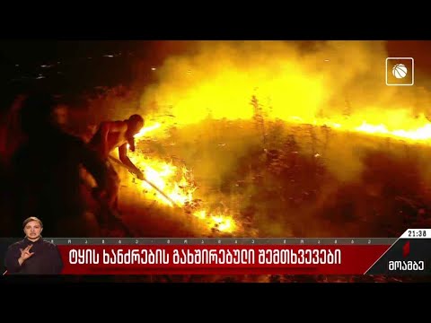 გახშირებული ტყის ხანძრები