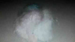 Webkinz Google Stop Motion 2