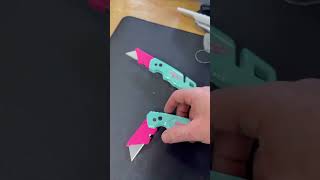 Tiffany Blue and Pink Milwaukee Fastback!!