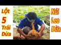 Lột dừa Bằng Răng. Bịt Mắt Lột 5 Trái Dừa Khô . Peel off coconut with your teeth .Thanh Hoai KG