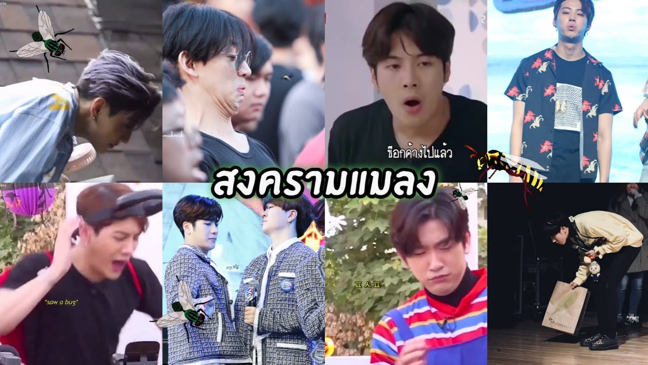 GOT7 - แมลงตัวนิดเดียวใครจะไปกลัว...[GOT7 FUNNY MOMENTS]