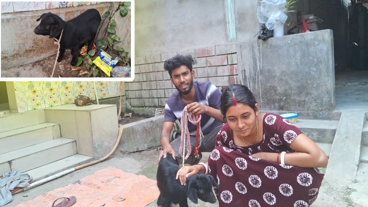 aaj baajaar se bakaree khareeda! ghar laane ke baad ka blog.
