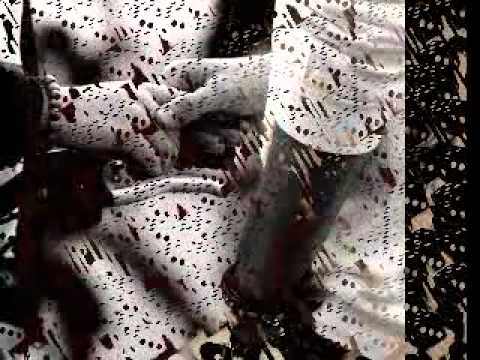 نزار قباني أنتهت قهوتنا