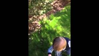 Ethan - Easter Egg Hunt