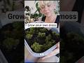 Did you know you can GROW your own moss? #terrariums