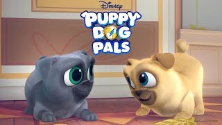 Going On a Mission: Extended Music Video | Puppy Dog Pals | @disneyjunior
