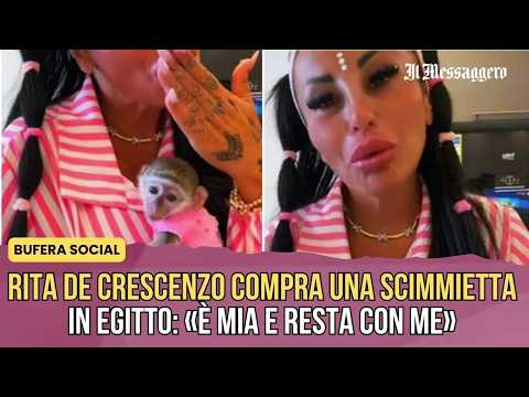 Video Rita De Crescenzo compra una scimmietta in Egitto: «È mia e resta con me». È bufera social