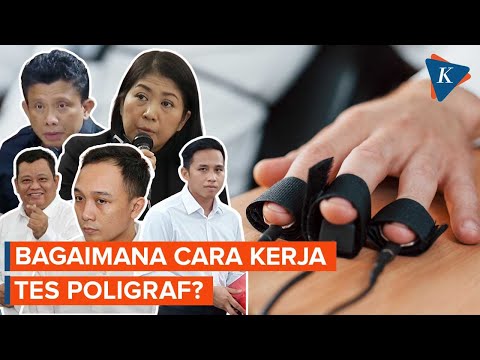 Video: Apa itu poligraf?