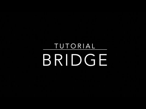 Bridge Tutorial