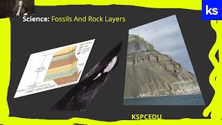 KSPortalcraftEDU: Fossils and rock layers #science #nevergiveup #insanity
