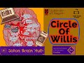 Circle of Willis
