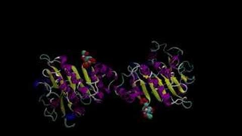 10 ns molecular dynamics of 1FRZ (Glucosamine desaminase)