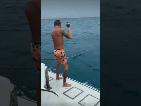 OFF ITS HEAD Hand Line Fishing!! #fishing #fyp #viralvideo