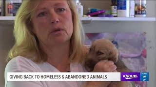 Giving back to homeless and abandoned animals