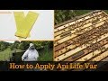 How to apply api life var