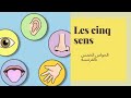 Les Cinq Sens تعلم الحواس الخمس بالفرنسية 