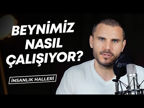 BEYNİMİZ NASIL ÇALIŞIYOR? 🧠