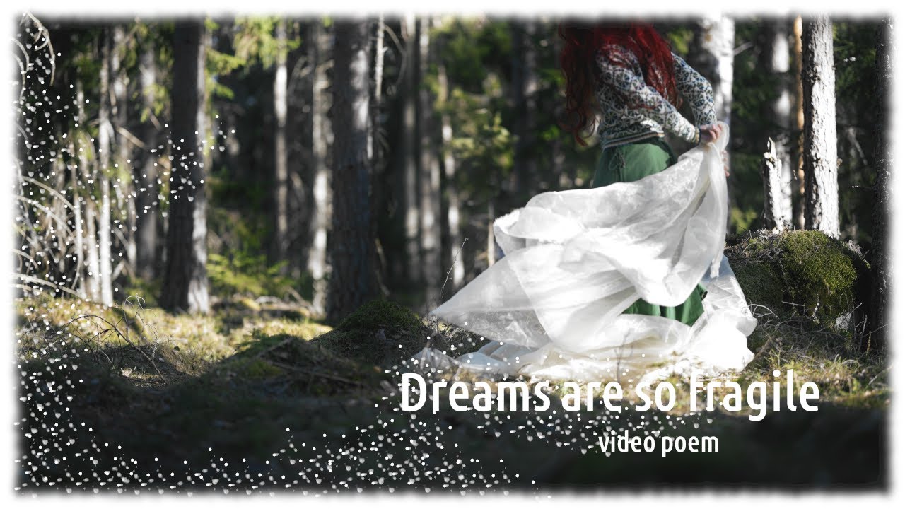 Dreams are so fragile | Nature video poem | Ambient synth