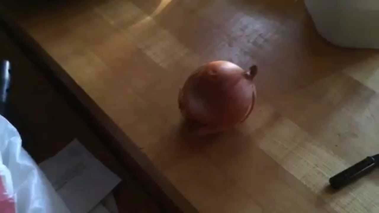 Touching food and drink items in my kitchen