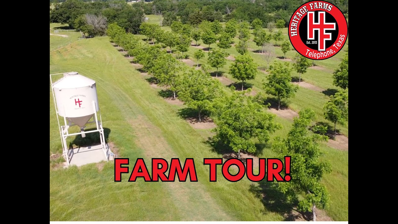 Welcome to Heritage Farms Texas!  Meet our Farm!