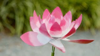 Lotus Flower Wind Spinner Lotus Flower Wind Spinner