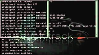 anonymous vice vlan hacking News