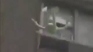 R.I.P. Kermit 1955-2019