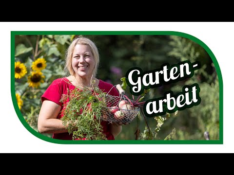 Video: Garten-To-Do-Liste für den Herbst: September im Nordosten