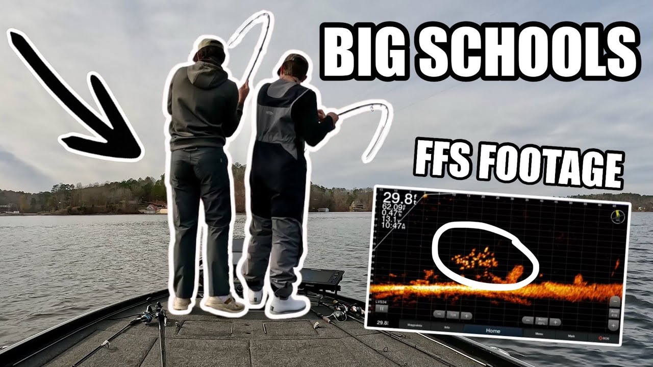 Giant Coosa Spotted Bass on Livescope (Live FFS Footage) [4K]