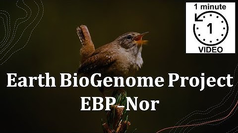 Earth BioGenome Project - EBP-Nor - in 1 minute