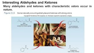 What Are Aldehydes And How Are They Used In Perfumery? Fixatives