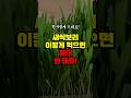 새싹보리 이렇게 먹으면 절대 안 돼요! | 50대중년 이후 꼭 먹어야 하는 음식 | 이렇게 먹으면 치매 염증 막아줍니다 | 새싹보리 건강하게 먹는 방법 Mp3 Song