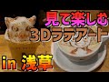 見て楽しむ【3Dラテアート】in浅草 【Latte art】
