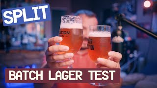Split Batch Lager - Nelson/Galaxy vs Simcoe Dryhop