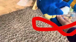 Sonic Test Super Peel-Out