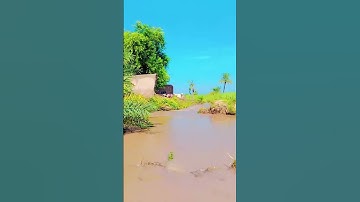big disaster after flood #flood #viralvideo #viral #disaster #foryou