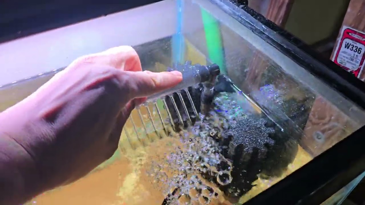 New Favorite Sponge Filter
