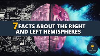 Unlock the Mysteries of Your Mind: Explore the Powers of the Left and Right Hemispheres! 🧠