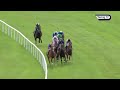 Benvenuto Cellini wins the Irish Derby, prompting trainer O'Brien to consider Breeders' Cup Classic