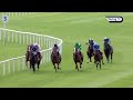 Benvenuto Cellini wins the Irish Derby, prompting trainer O'Brien to consider Breeders' Cup Classic