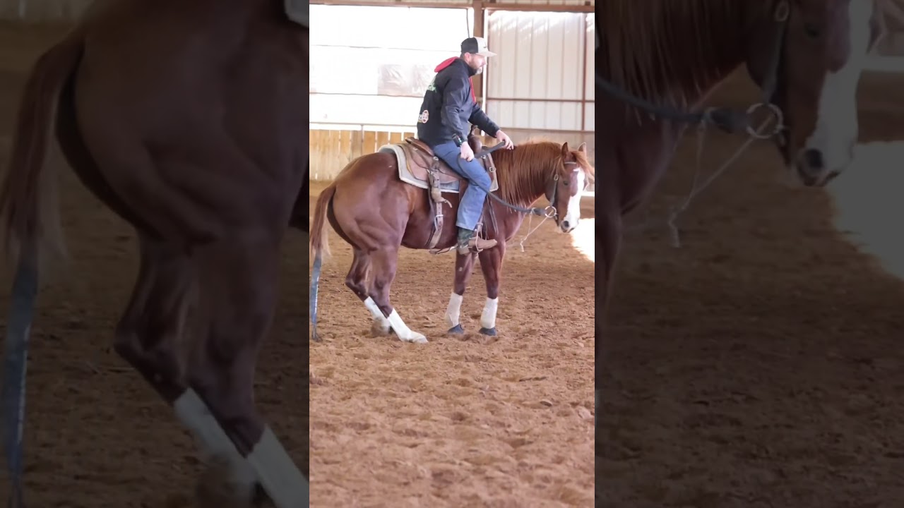 SSR Step N Time aka “chief” flag work