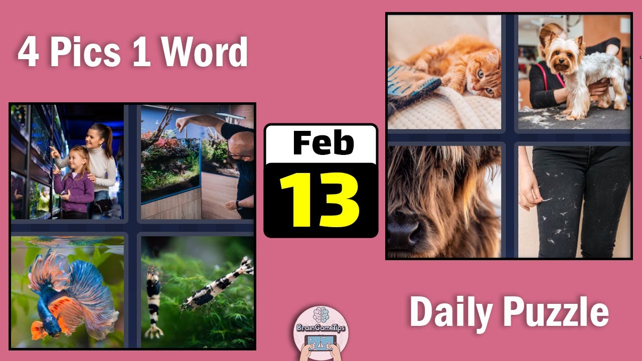 4 Pics 1 Word - Daily Puzzle February 13 2022 Answer