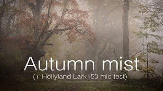 Autumn Woodland Photography &amp; Hollyland Lark150 Wireless Microphone Test