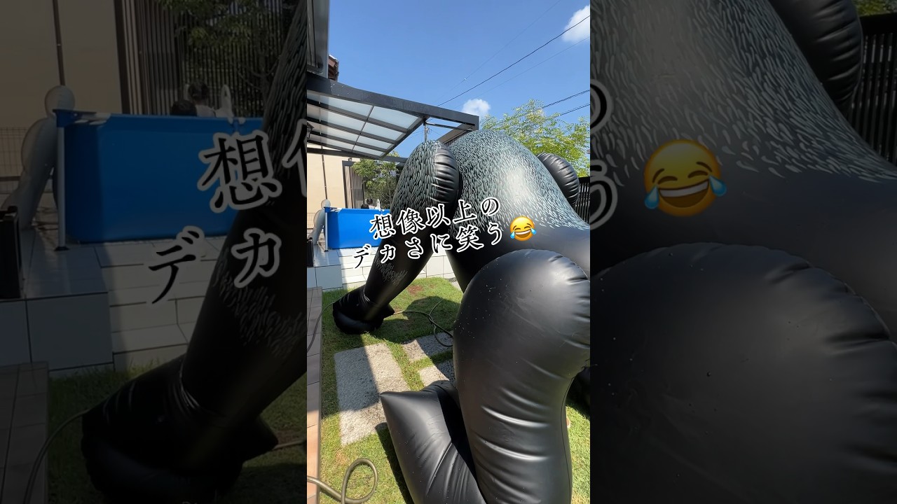 噴水ゴリラを膨らませてみた! #おうちプール #フレブル