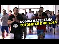 Дагестанские борцы готовятся к чемпионату России-2020 в Наро-Фоминске