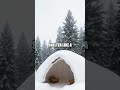 Winter Wilderness Survival Essentials