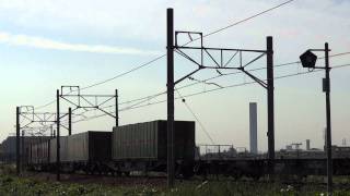 JR貨物 EF210-161 貨物列車(1071レ 桃太郎 100番台) 稲沢駅下り貨物線