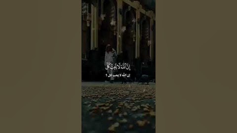 ولا تمش في الأرض مرحا #المنشاوي #حالات #واتساب #تيك_توك #سناب #تلاوة_خاشعة