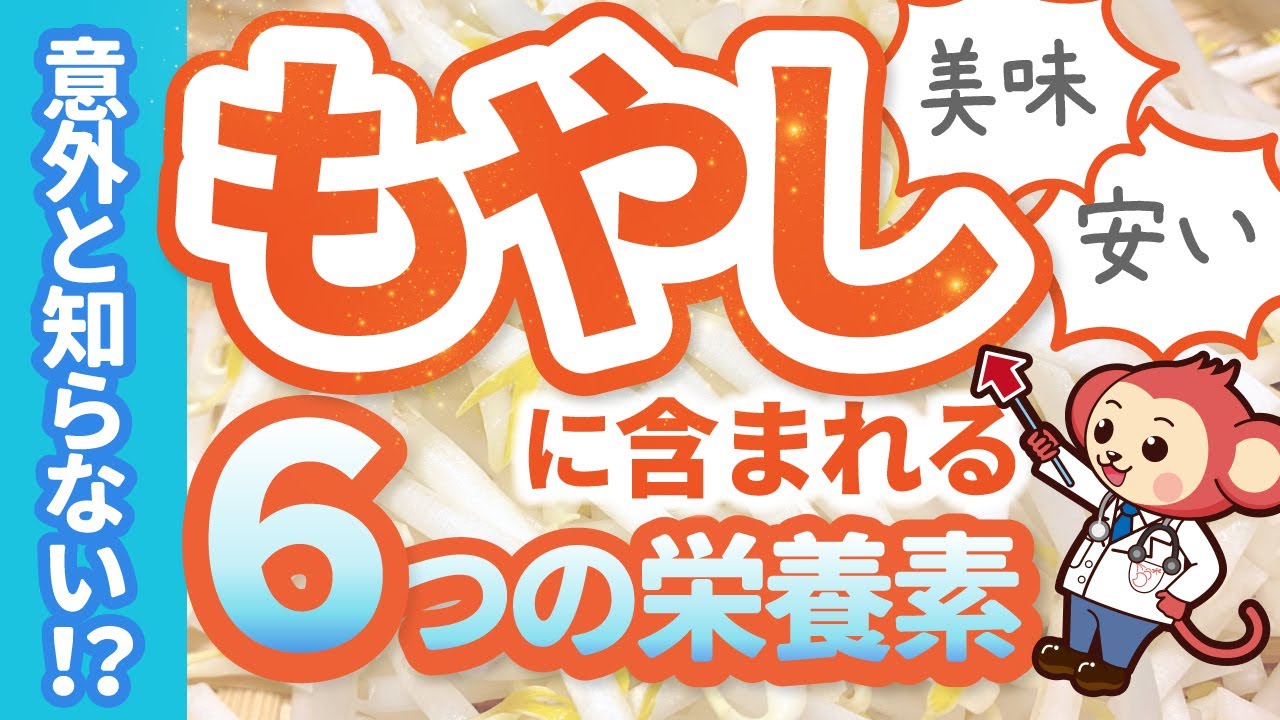 【もやしはマシマシが正解！！】実は栄養が豊富なもやし様【お残し厳禁】