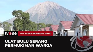 Warga Lumajang Diserang Ulat Bulu! Aktivitas Warga Terganggu | AKIS tvOne